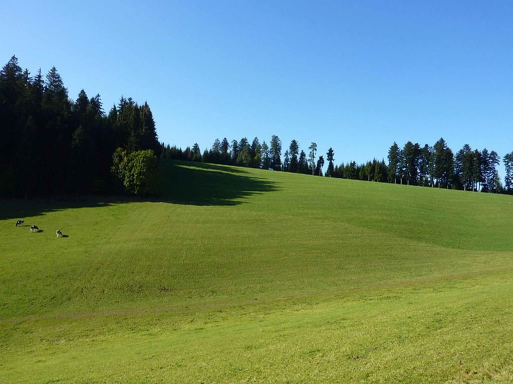 Haus Harter Leilighet Wolfach Eksteriør bilde